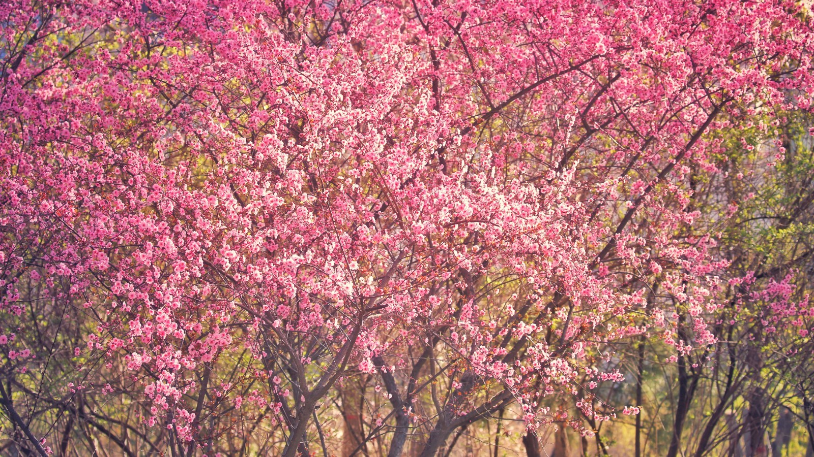 859A4EB185D142CA86C1F14D41D98885